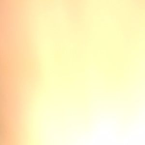 Meet your Posher, Calvin